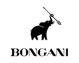 Bongani Bongani