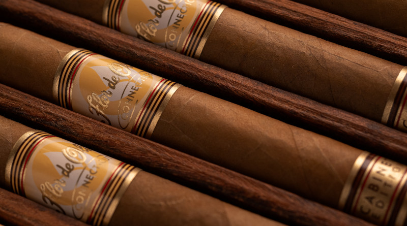 Flor de Oliva Connecticut