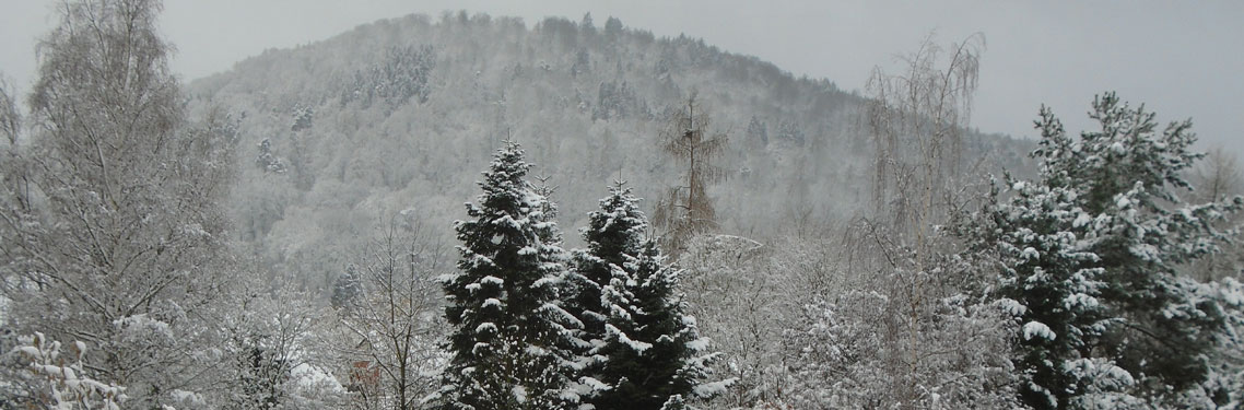 Wintertabak Wintertabak