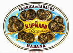 H Upmann H Upmann