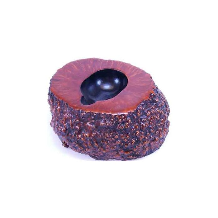 Pfeifenablage Bruyère von Amorelli  kaufen