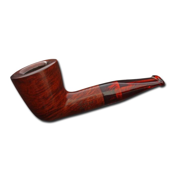 Molina Shorty Brown 2 kaufen