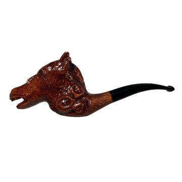 Ser Jacopo Per Aspera Ad Astra Unigena 1